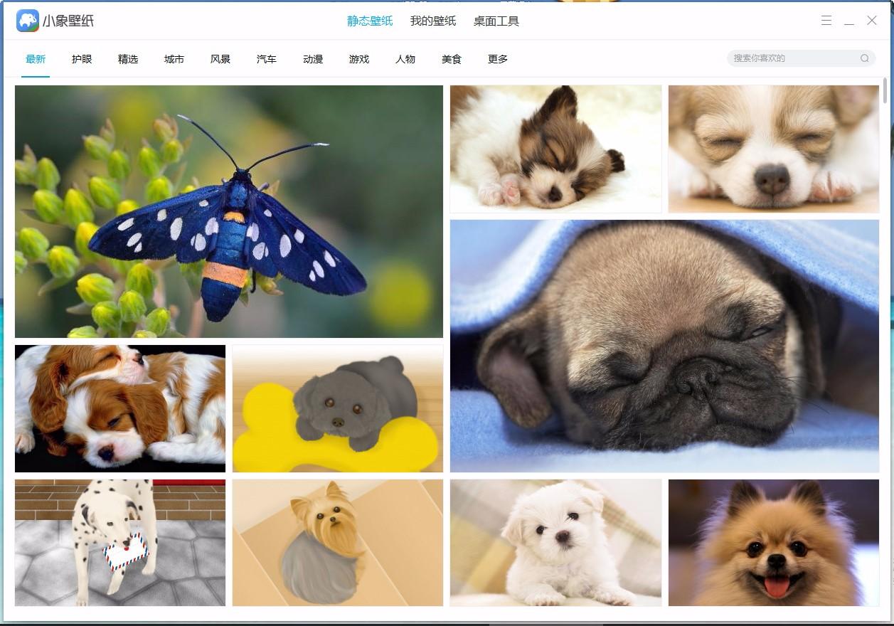 小象壁紙,免費(fèi)壁紙,桌面壁紙,靜態(tài)壁紙,桌面美化