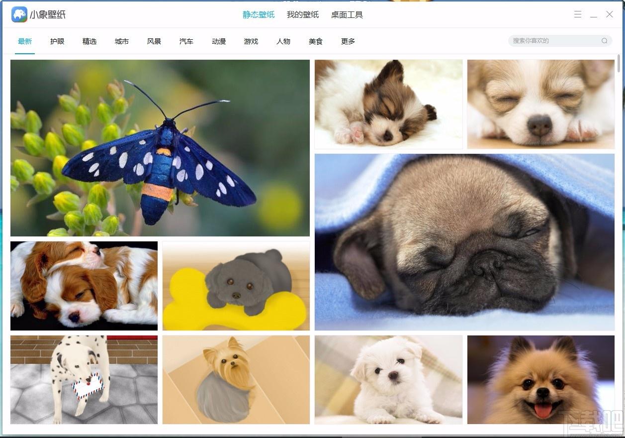 小象壁紙,免費(fèi)壁紙,桌面壁紙,靜態(tài)壁紙,桌面美化