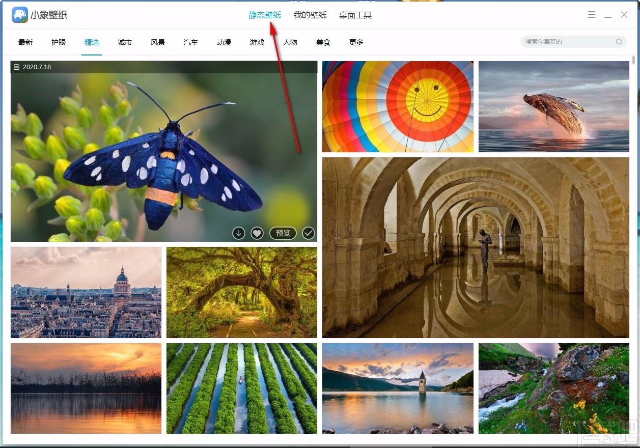 小象壁紙,免費(fèi)壁紙,桌面壁紙,靜態(tài)壁紙,桌面美化