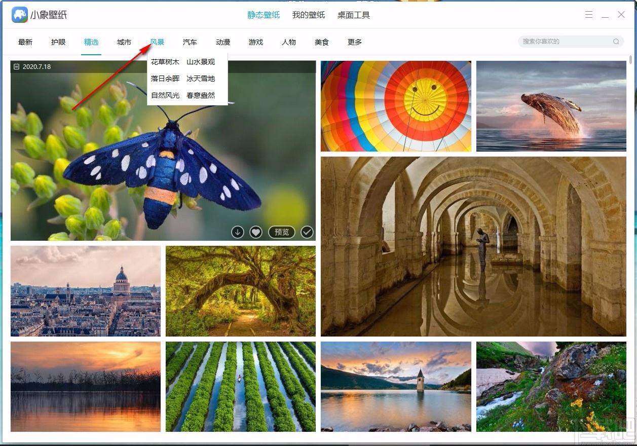 小象壁紙,免費(fèi)壁紙,桌面壁紙,靜態(tài)壁紙,桌面美化